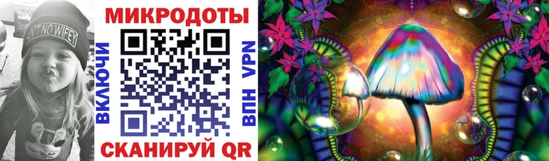 Галлюциногенные грибы Psilocybe  купить закладку  Сокол 